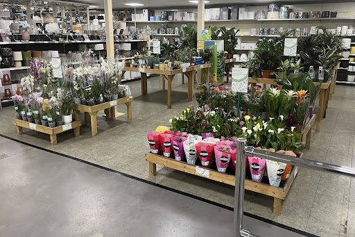 Homebase - Gloucester - Visual