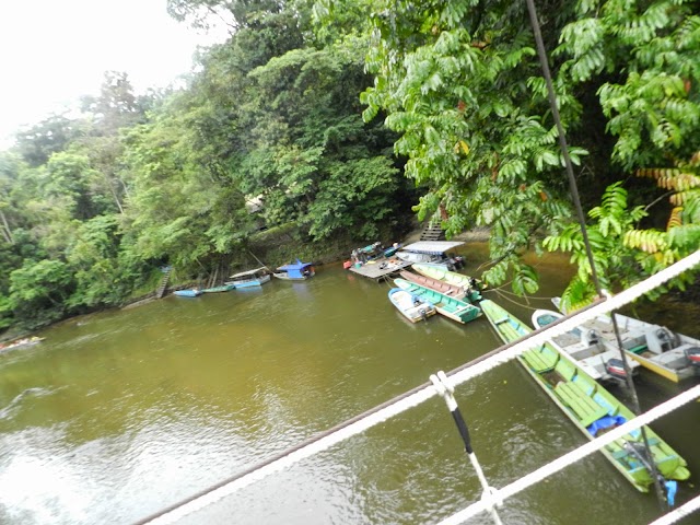 Gunung Mulu National Park