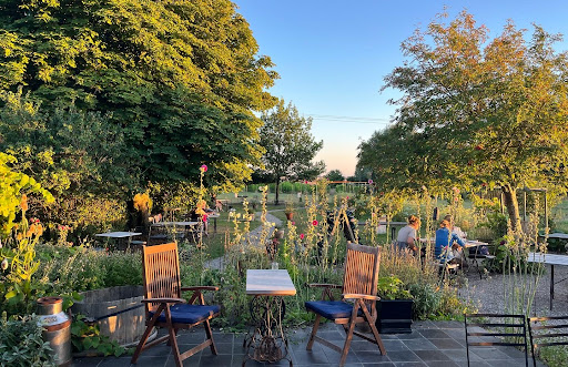 Hällåkra Vineyard - Visual