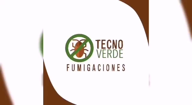 Opiniones de Fumigación Tecnoverde - Control de Plagas en Viña del Mar - Empresa de fumigación y control de plagas