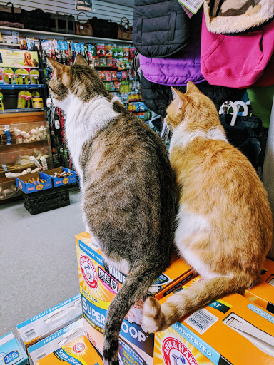 Animal Planet Pet Supplies - Thumbnail