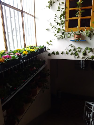 Photos of Dzveli Store