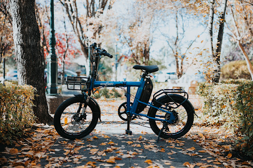 Vintage Iron Cycles - Electric Bike & Electric Scooter Store Toronto High Park Gallery - Canada