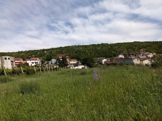 Međugorje