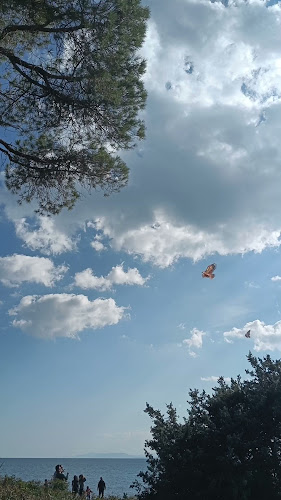 Comentarii opinii despre schinias bay