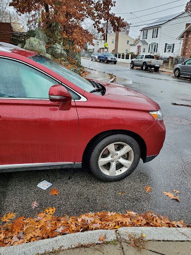 RESTORIFY AUTO - Visual