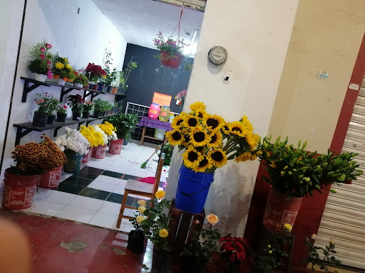 Floristería Portales