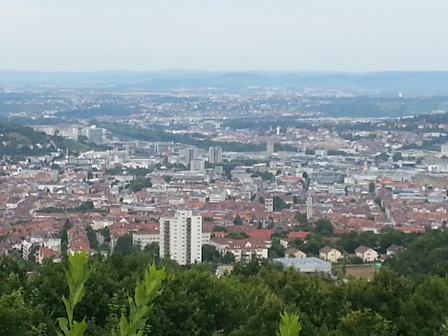 Birkenkopf