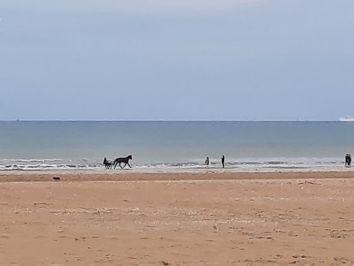 Plage de Trouville Gallery - France