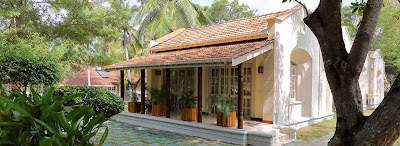 Photos of Tamarind Tree