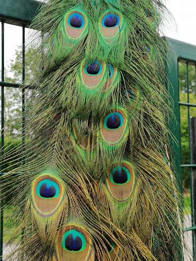 Bioland-Meedehof, Hof Upende