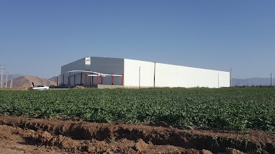 Photos of Cold Storage Facility And Fruit Packing Barf Ave Qandil