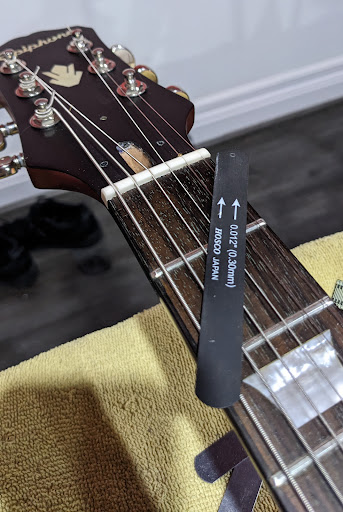 DWS Guitars - Visual