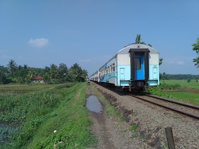 Photos of Jambu Baru