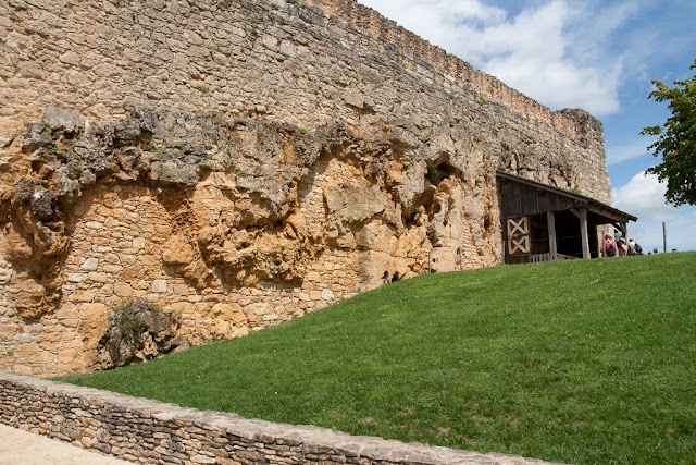 Château de Castelnaud-la-Chapelle