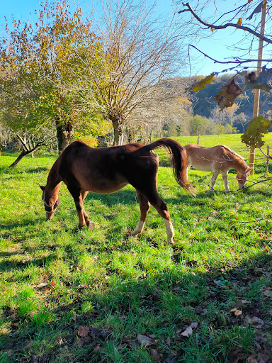 Bivio via dell'acqua - Thumbnail
