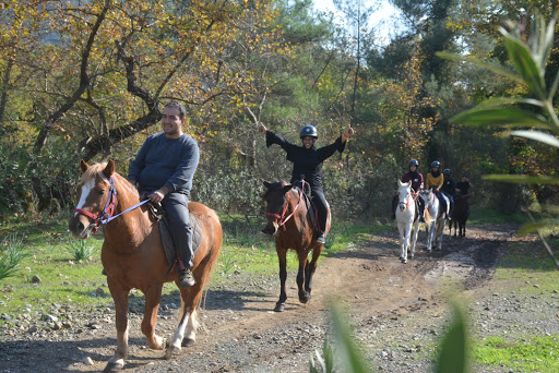 Marmaris pınar at safari