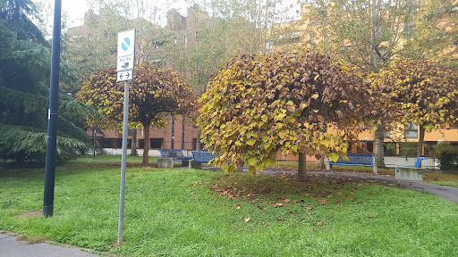 Il Blu - Visual