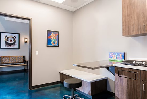 Dallas Veterinary Dentistry & Oral Surgery - Thumbnail