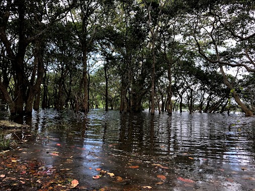 Mahamevnawa Dhammagiri Forest Monastery - Kahatagasdigiliya, Author: Canadian