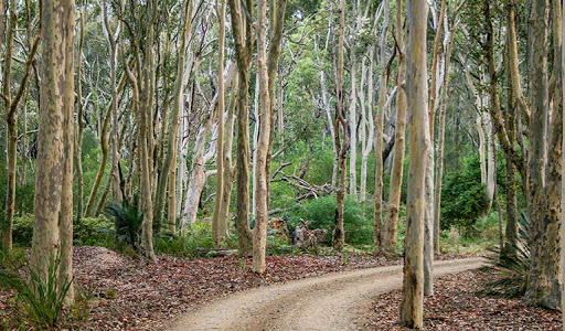 Brou Lake campground