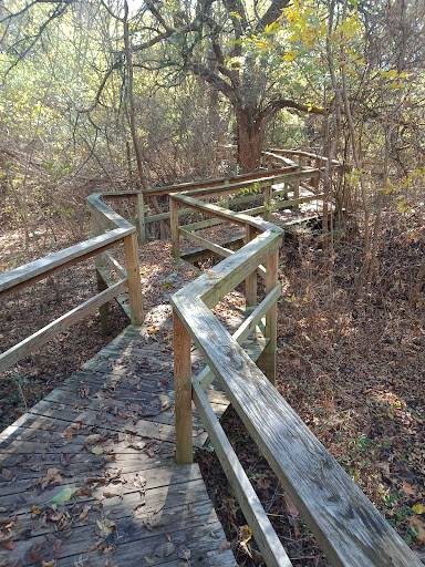 Enchanted Boardwalk - Thumbnail