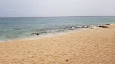 Photos of Mango's