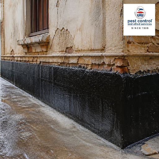 Protect your old building from costly leaks and hidden damage with expert waterproofing services… post image