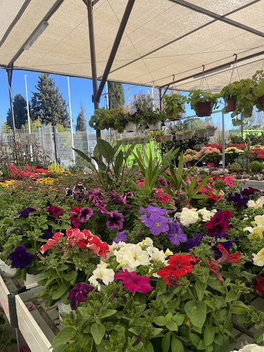 AGROPECUARIO SANTA LUCÍA AMBROZ - Foto 1