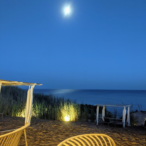 Harundo Mare - Visual