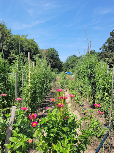 Jardins du Gabizos