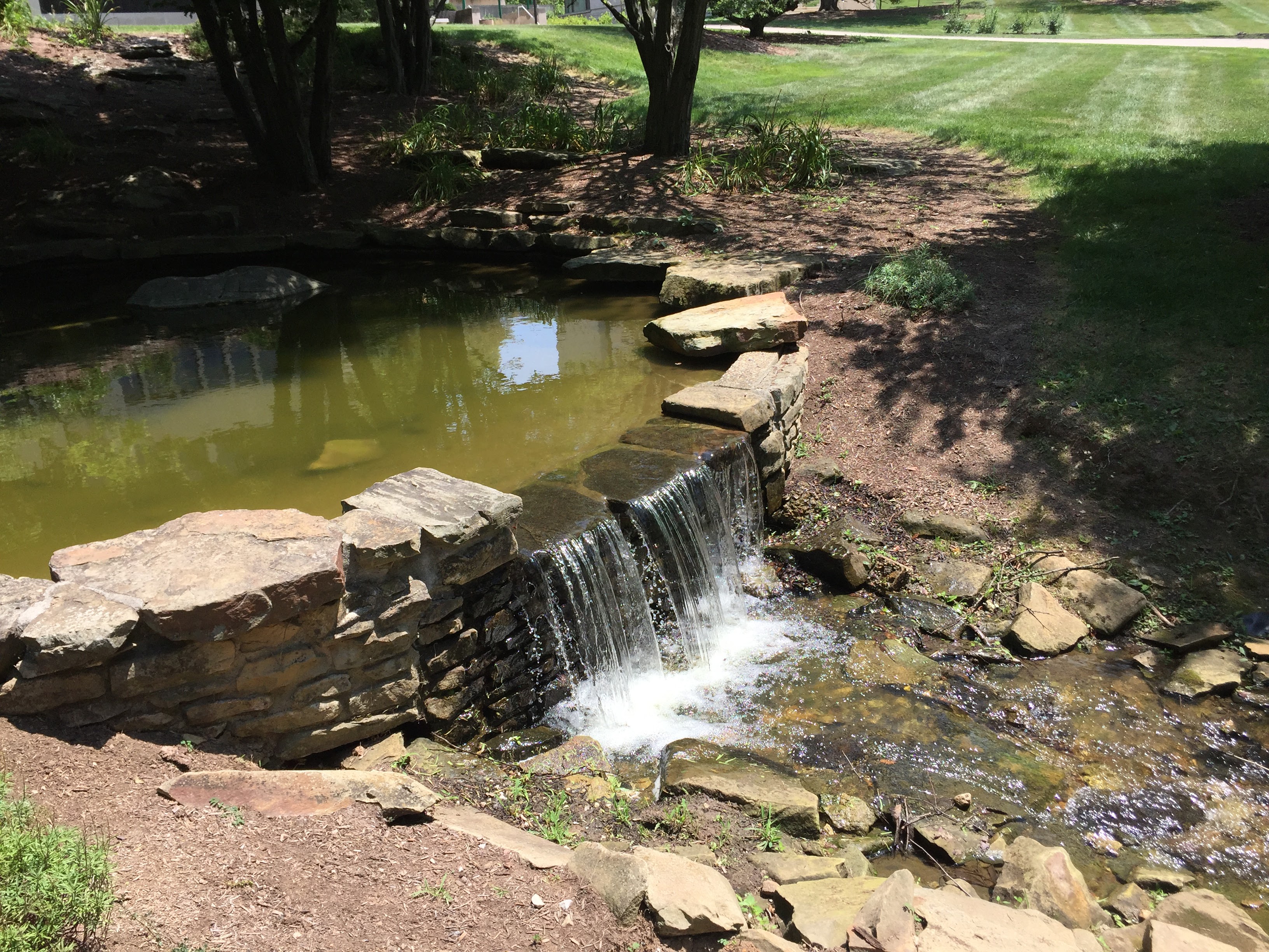 Cox Arboretum