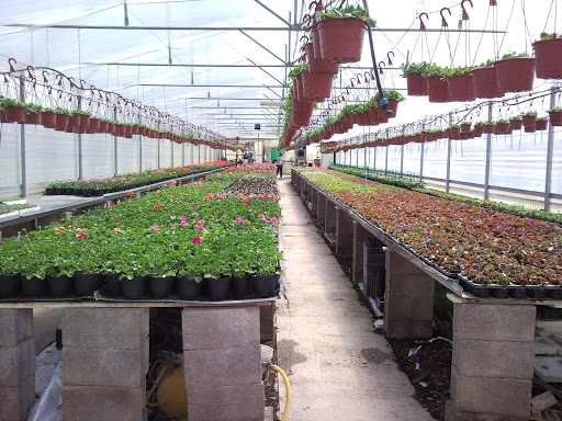 Azienda Agricola Savona Anna Maria - Thumbnail
