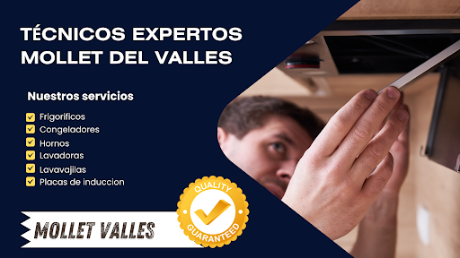 Tecnicos Expertos Mollet del Valles
