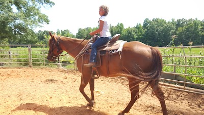 Sabrina Miller Horsemanship