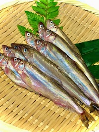 焼き鳥居酒屋 いし田や