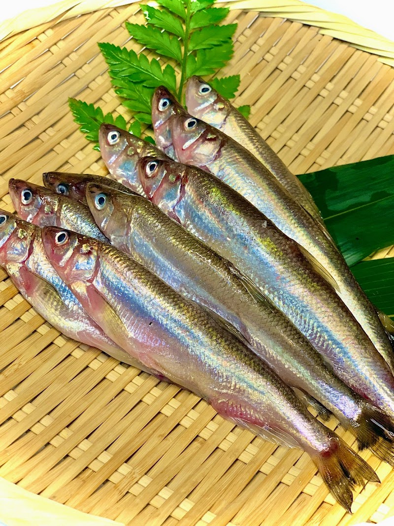 焼き鳥居酒屋 いし田や