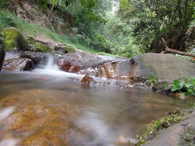 Photos of NACIONAL ENRIQUE OLAYA HERRERA Park