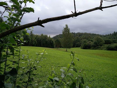 Photos of Tehvandi Stadion