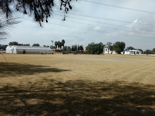 Escuela De Formación Deportiva Linces