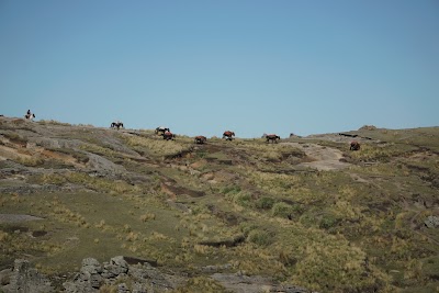 Photos of Puesto Moises Lopez