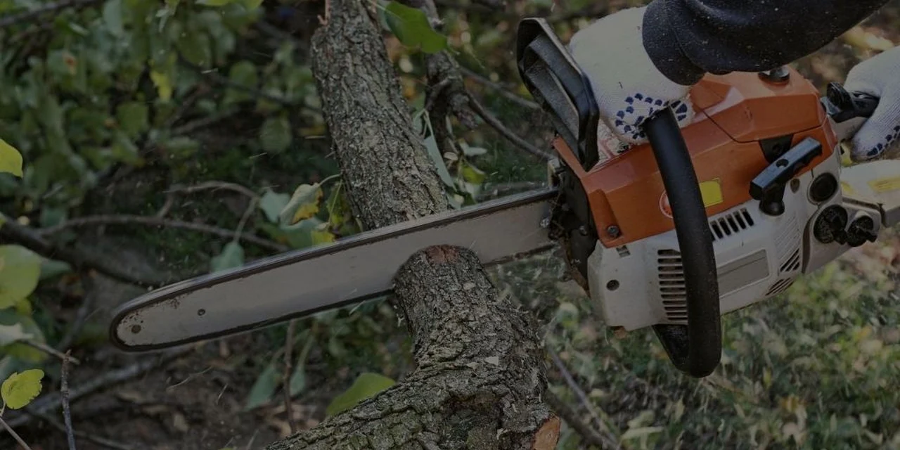 A&A Tree Care