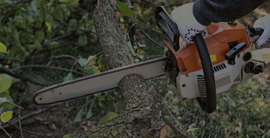 A&A Tree Care