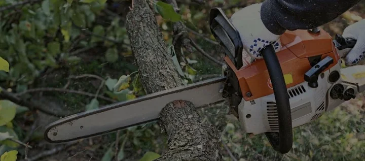 A&A Tree Care