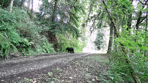 Dean's Campground - Visual