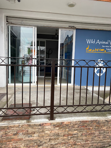 Wild Animal Vet