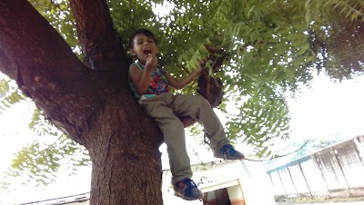 Photos of Agustin Febres Cordero