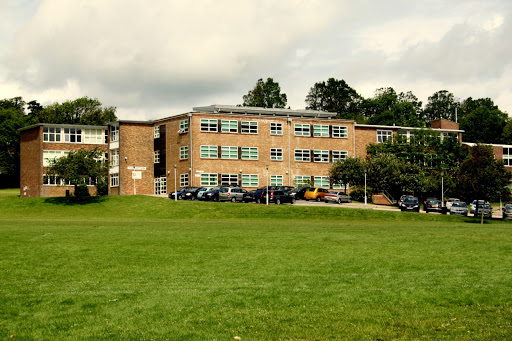 Dorothy Stringer School - Visual