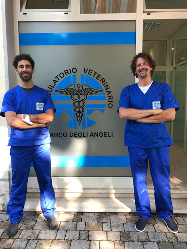 AMBULATORIO VETERINARIO PARCO DEGLI ANGELI - Thumbnail