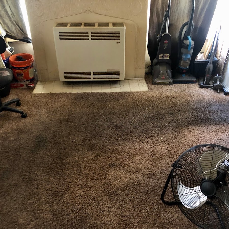 Quick Clean Carpet Care